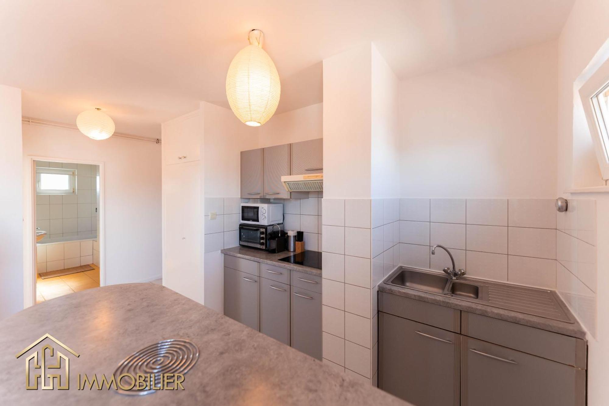 Appartement L'Orient - Parking Колмар Екстериор снимка